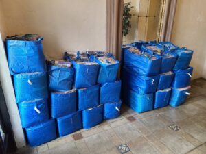 MS Ikea Bags